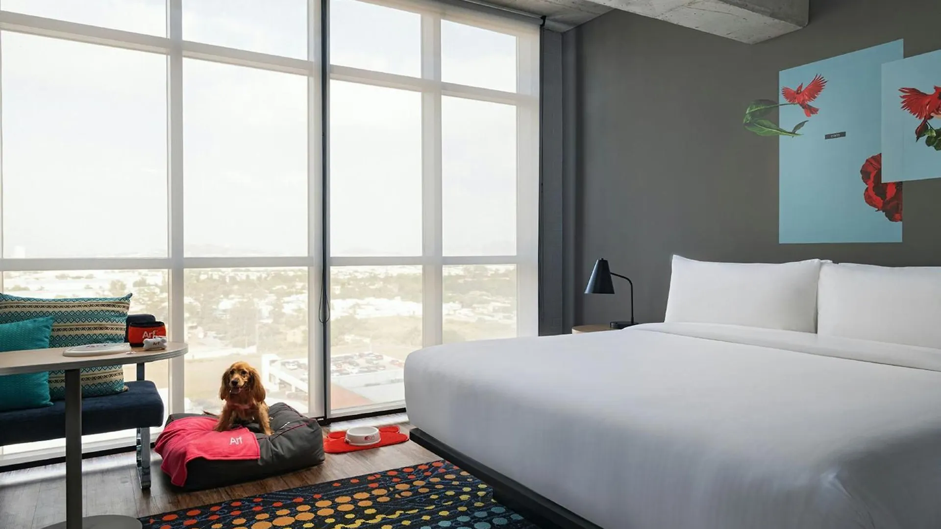 فندق Aloft Guadalajara Sur Santa Anita  3*, Santa Anita (Jalisco) المكسيك