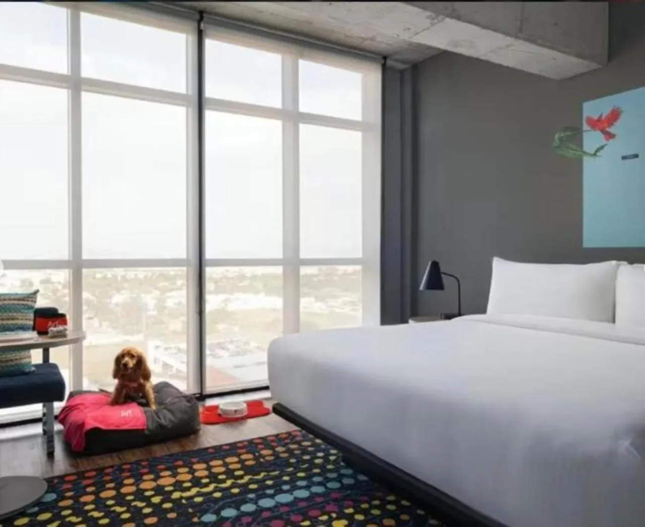 فندق Aloft Guadalajara Sur Santa Anita  3*, Santa Anita (Jalisco) المكسيك